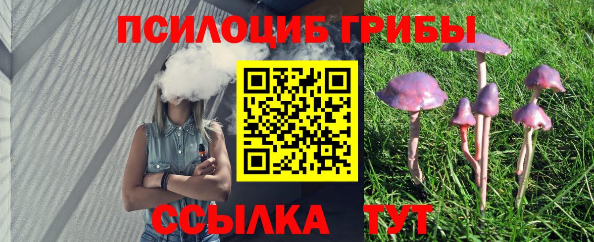 Донецк  Псилоцибиновые грибы Psilocybine cubensis  Вход с VPN 