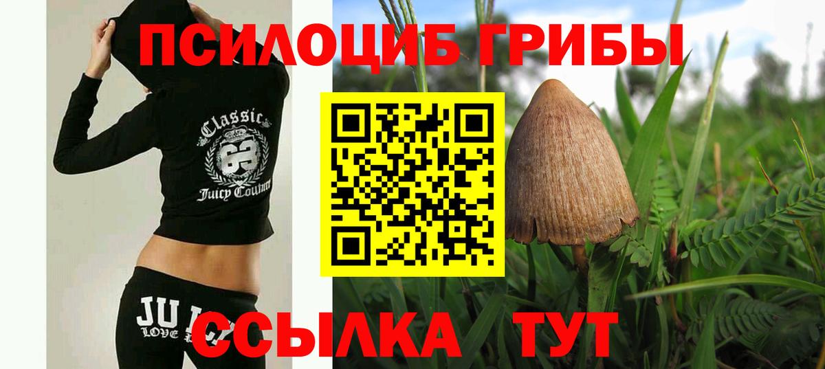 Псилоцибиновые грибы GOLDEN TEACHER Донецк